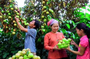 Sở VHTTDL tổ chức khảo sát, tọa đàm giới thiệu điểm du lịch và vùng cây ăn quả huyện Lục Ngạn
