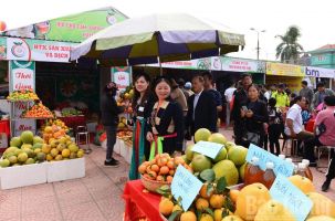 Hàng vạn du khách tham quan Hội chợ cam, bưởi và các sản phẩm đặc trưng huyện Lục Ngạn năm 2019