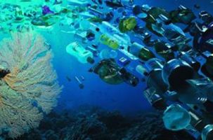 Phấn đấu 100% các khu du lịch biển không sử dụng sản phẩm nhựa dùng 1 lần