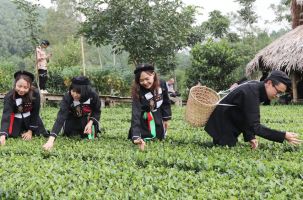 Bắc Giang liên kết phát triển du lịch: DN, hợp tác xã là trung tâm