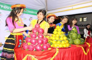 Từ ngày 25 đến 27-11 diễn ra Ngày hội trái cây Lục Ngạn lần thứ II