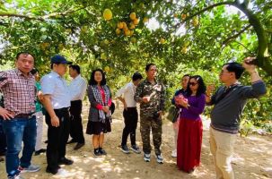 Khảo sát, tọa đàm giới thiệu tour du lịch vùng cây ăn quả huyện Lục Ngạn