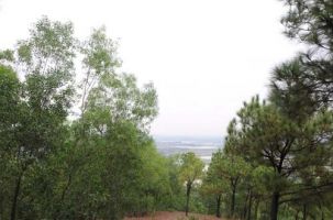 Phê duyệt duyệt Quy hoạch xây dựng Khu tâm linh sinh thái núi Đót, Tân Yên - Bắc Giang