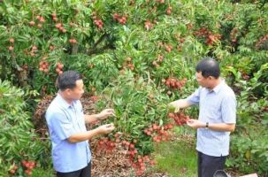 Bắc Giang tổ chức khảo sát giới thiệu tour du lịch vùng cây ăn quả huyện Lục Ngạn
