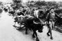 Khai mạc những ngày phim tài liệu kỷ niệm 70 năm Chiến thắng Điện Biên Phủ