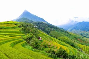 8 cung đường trekking tuyệt đẹp ở Việt Nam theo đề xuất của Lonely Planet