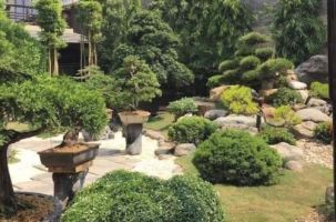 Bắc Giang công nhận Điểm du lịch Vườn Bonsai Neo Garden - Koifarm Takana tại Yên Dũng