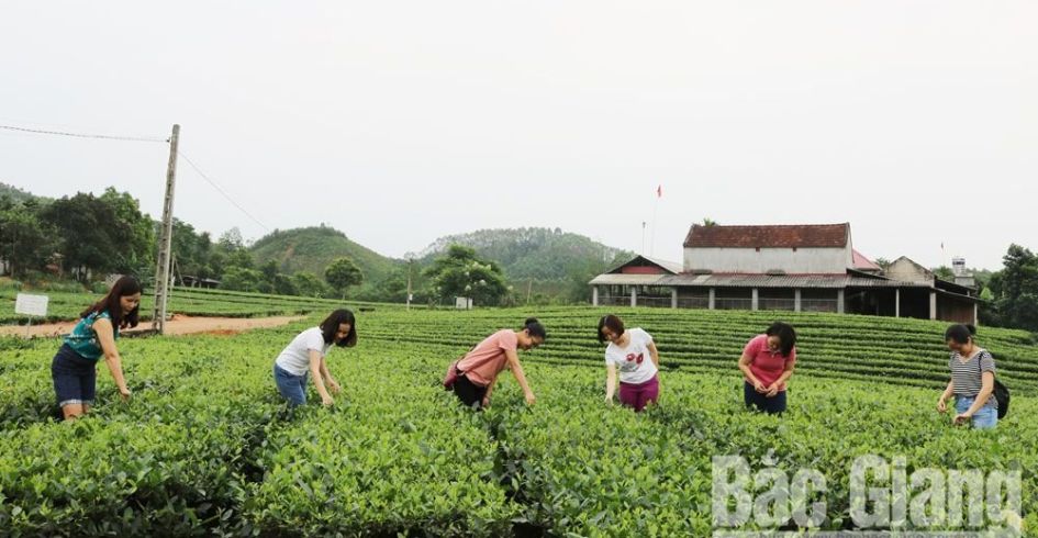 Du lịch xanh Xuân Lung - Thác Ngà