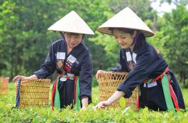 Khám phá văn hóa truyền thống: Trải nghiệm mới hấp dẫn du khách