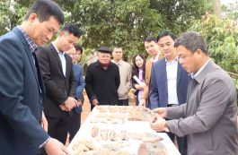 Dấu ấn không gian Phật giáo Trúc Lâm qua tư liệu khảo cổ