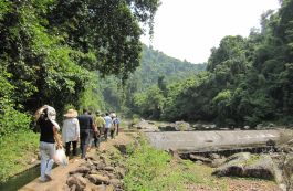 Đến Bắc Giang thư giãn giữa rừng nguyên sinh Khe Rỗ