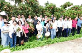 Trên 300.000 lượt khách đến du lịch mùa vải thiều