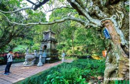 3 tour du lịch mới khám phá di sản thế giới Côn Sơn - Kiếp Bạc