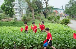  Green Farm Bắc Ninh - điểm đến nghỉ dưỡng xanh