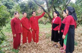 Soọng cô, Chèo - Di sản văn hóa phi vật thể quốc gia