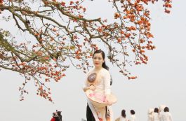 Hàng nghìn du khách say đắm sắc hoa tháng Ba tại Bắc Giang