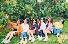 Nhà vườn hút khách tham quan