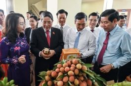 Hoạt động trưng bày, quảng bá tại Hội nghị xúc tiến tiêu thụ vải thiều và các nông sản chủ lực, đặc trưng, sản phẩm OCOP của tỉnh năm 2025