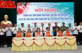 Bắc Ninh mở rộng tiêu thụ vải thiều vụ 2026