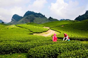 Hưởng ứng ngày Du lịch Thế giới “ Một tỷ du khách- một tỷ cơ hội”