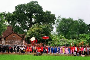 Ấn tượng vùng vải thiều