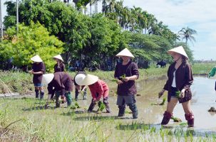 Đẩy mạnh quảng bá, xúc tiến du lịch nông nghiệp, nông thôn qua các nền tảng số hiện đại