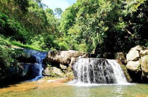 Khu du lịch sinh thái Suối Mỡ - điểm đến hấp dẫn của du khách