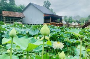 BẢN VEN- ĐIỂM DU LỊCH SINH THÁI CỘNG ĐỒNG HẤP DẪN