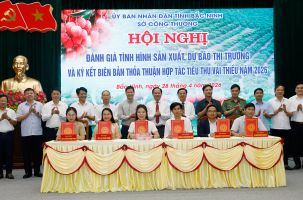 Bắc Ninh mở rộng tiêu thụ vải thiều vụ 2026