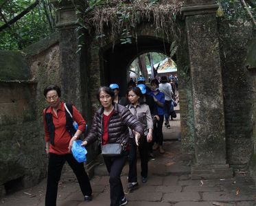 Tạo cú 