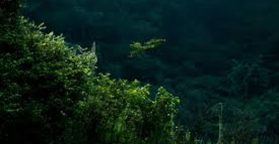 Du lịch sinh thái Tây Yên Tử