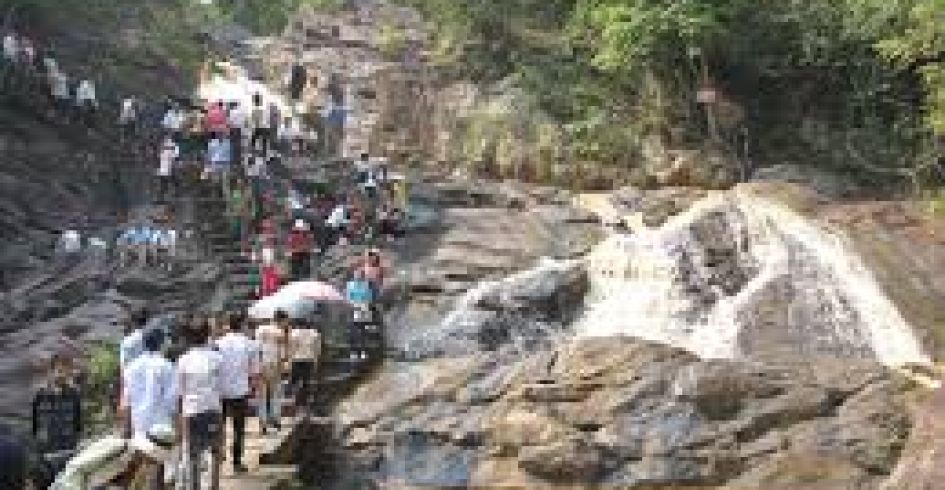 Quy hoạch rừng cảnh quan Suối Mỡ- Động lực cho phát triển du lịch 