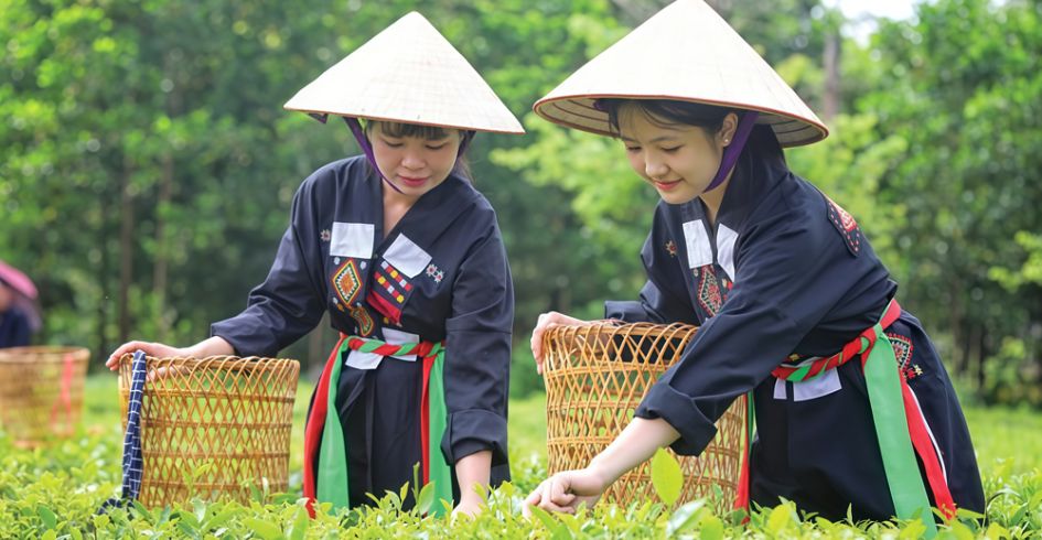 Khám phá văn hóa truyền thống: Trải nghiệm mới hấp dẫn du khách