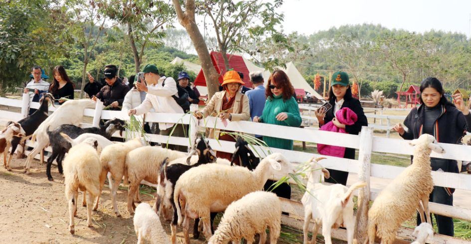 Bộ tượng Tam Tổ Trúc Lâm tại chùa Vĩnh Nghiêm (Bắc Giang) được công nhận bảo vật quốc gia