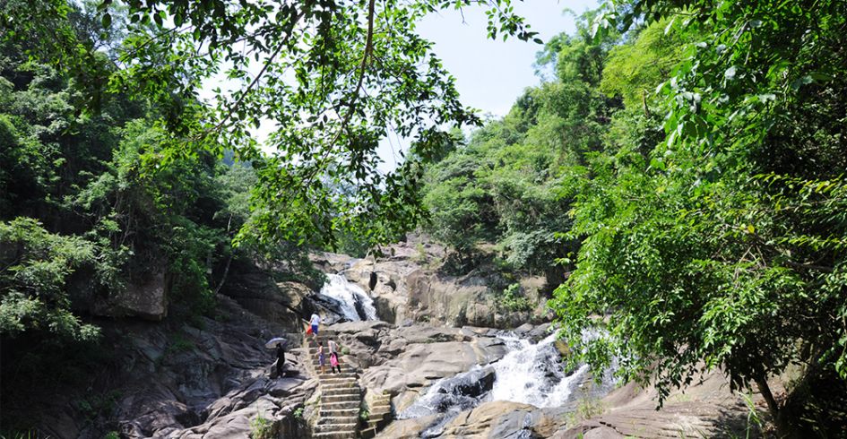 Triển khai Đề án “Phát triển giá trị đa dụng của hệ sinh thái rừng”