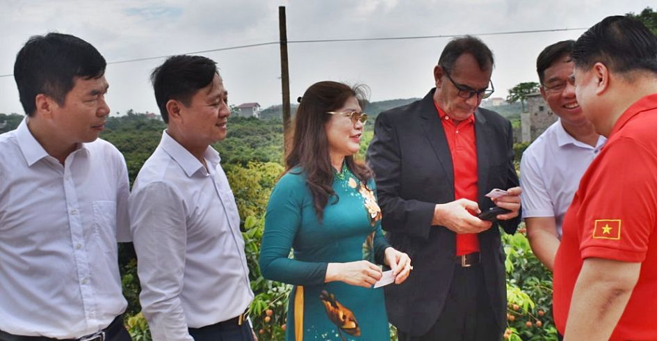 Tân Yên tổ chức hội nghị xúc tiến tiêu thụ vải thiều chín sớm