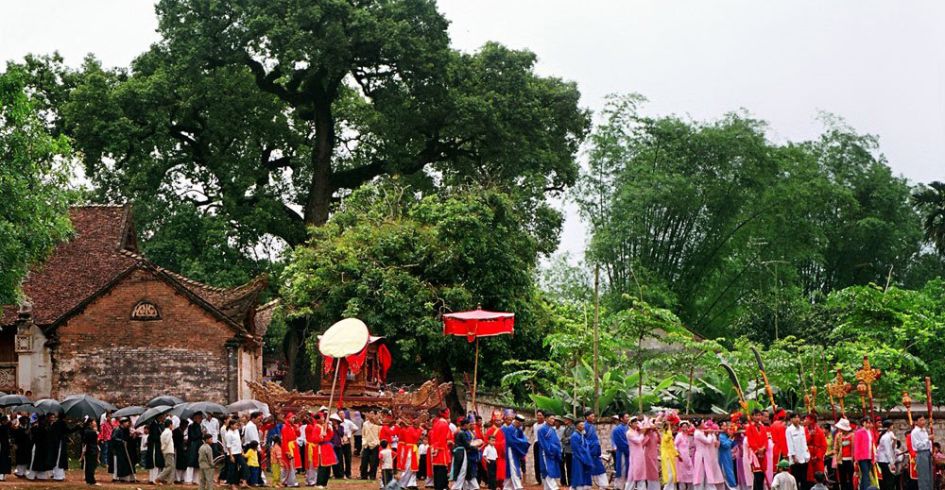 Ấn tượng vùng vải thiều