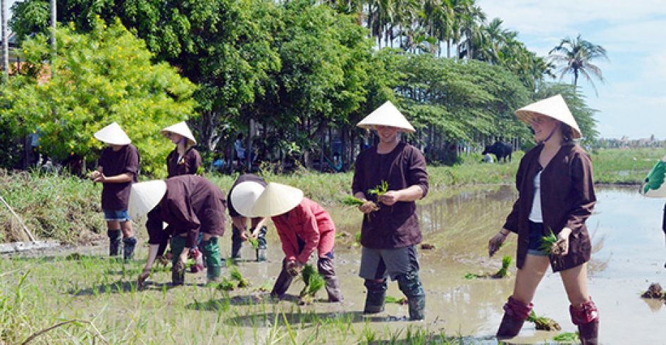 Đẩy mạnh quảng bá, xúc tiến du lịch nông nghiệp, nông thôn qua các nền tảng số hiện đại