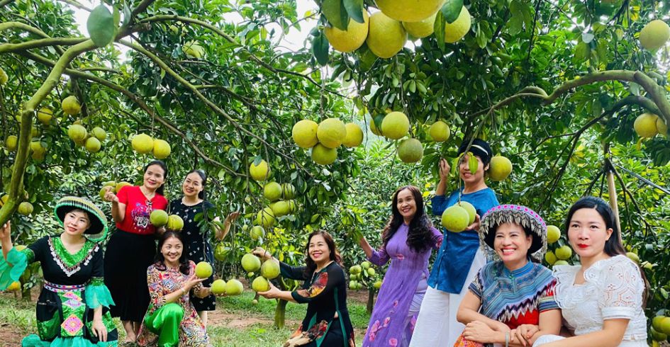 Lục Ngạn: Các hợp tác xã du lịch sẵn sàng đón khách mùa cam, bưởi