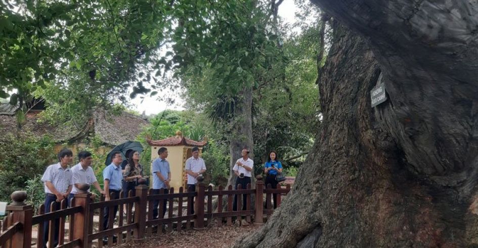 Xây dựng đội ngũ thuyết minh viên chuyên nghiệp tại các điểm di tích lịch sử, văn hóa, danh lam thắng cảnh – Một giải pháp cần thiết để thúc đẩy phát triển du lich ở Bắc Giang