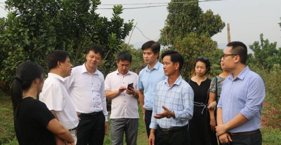 Du khách ấn tượng về vùng cây trái Lục Ngạn