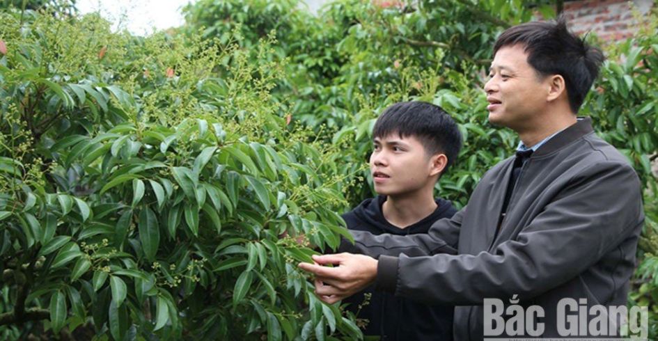 Lục Ngạn không chỉ có trái ngọt