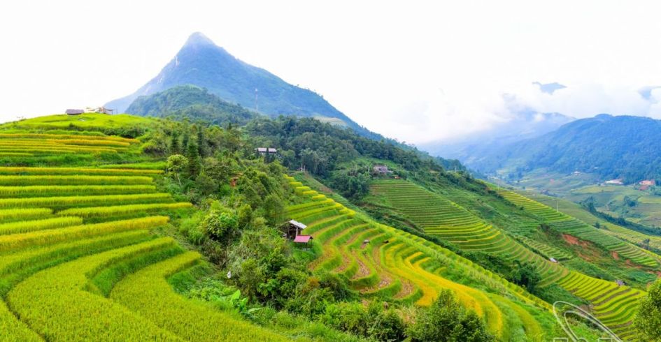 8 cung đường trekking tuyệt đẹp ở Việt Nam theo đề xuất của Lonely Planet