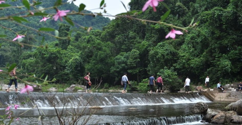 UBND tỉnh phê duyệt Quy hoạch chi tiêt xây dựng Khu du lịch sinh thái rừng Khe Rỗ, xã An Lạc, huyện Sơn Động (tỷ lệ 1/500)