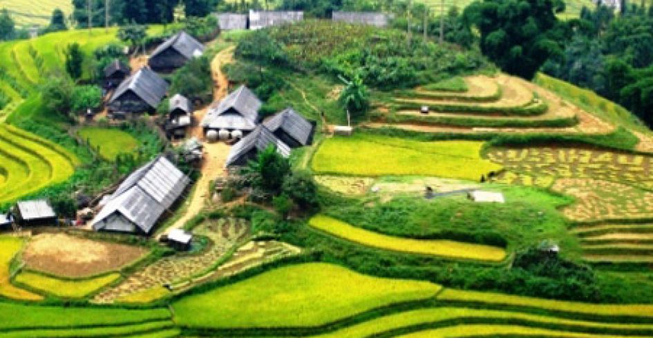 Những điểm đến tuyệt vời cho tuần trăng mật mùa thu