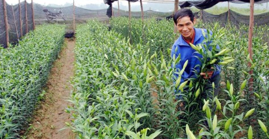 Bắc Giang nhiều thành tựu sau 20 năm tái lập tỉnh
