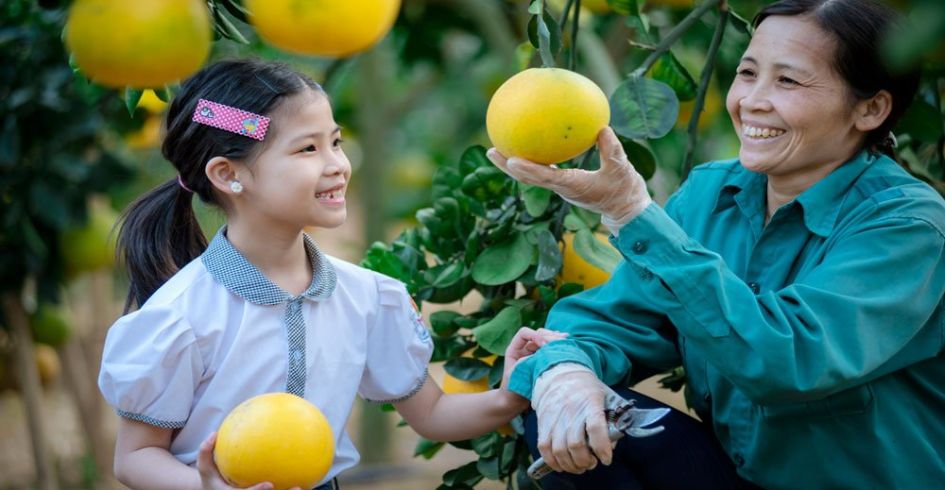 Giữa non xanh lộc biếc