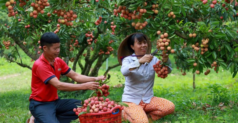 Một tour du lịch đặc biệt sắp được mở ở Bắc Giang