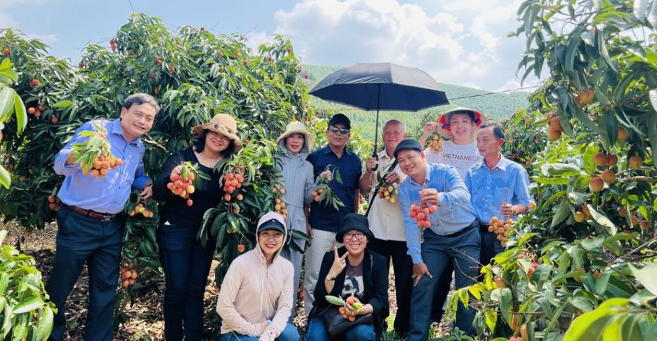  Bắc Giang: Nhiều hoạt động xúc tiến, quảng bá du lịch mùa vải thiều