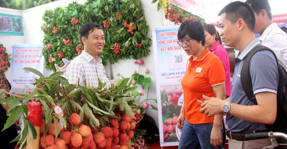 Vải thiều Bắc Giang “phủ sóng” sàn thương mại điện tử